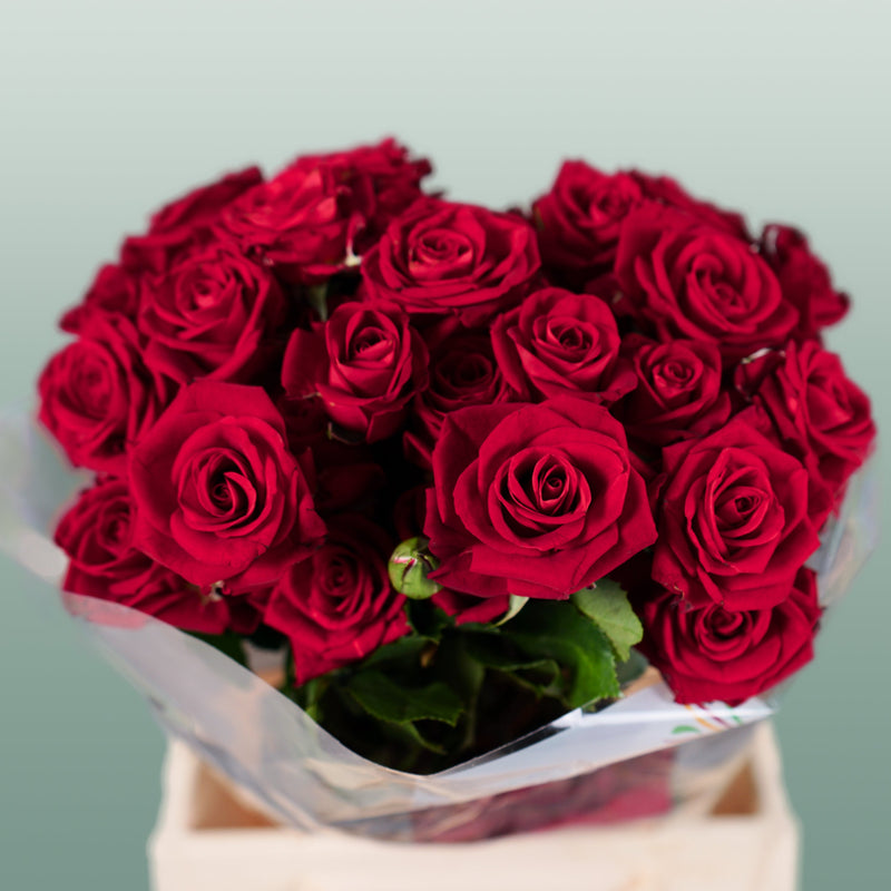 Spray Rose Dominica