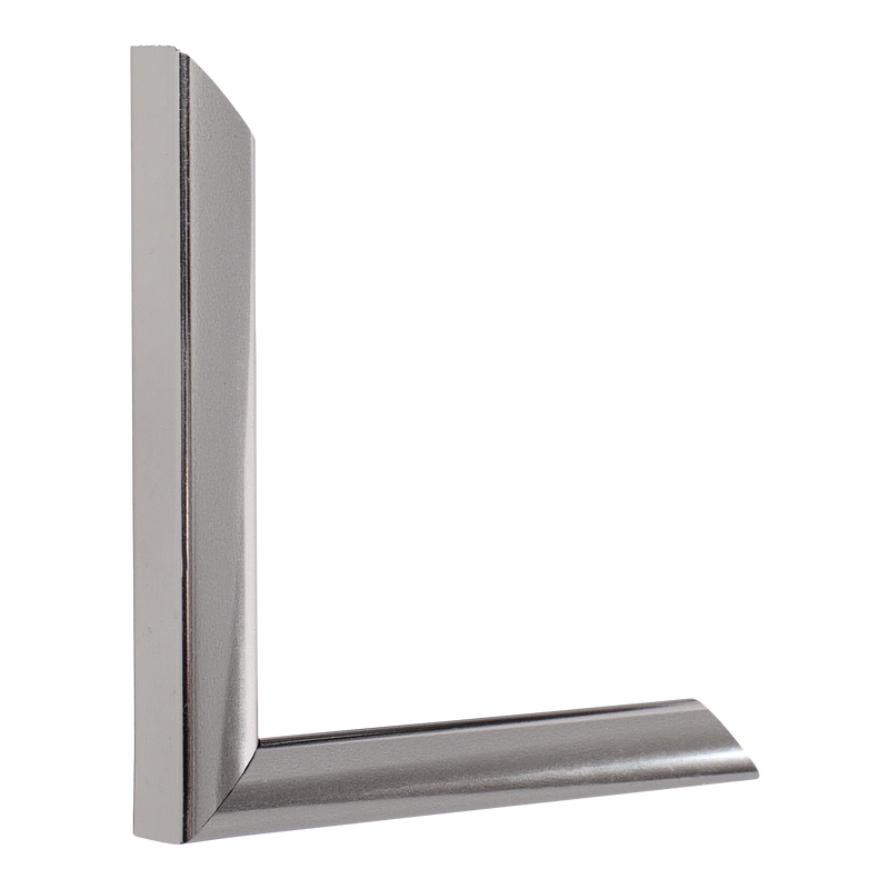 Echo Chrome Picture Frame, 8.8x24.3"