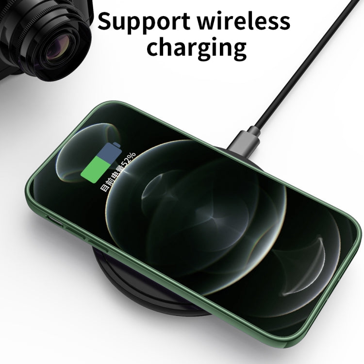 Ultra-thin Electroplating Dandelion Pattern Protective Case, For iPhone 12 Pro Max, For iPhone 12 Pro, For iPhone 12