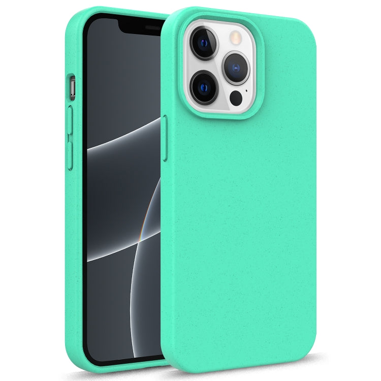 Starry Series Shockproof Straw Material + TPU Protective Case, For iPhone 13, For iPhone 13 mini, For iPhone 13 Pro Max
