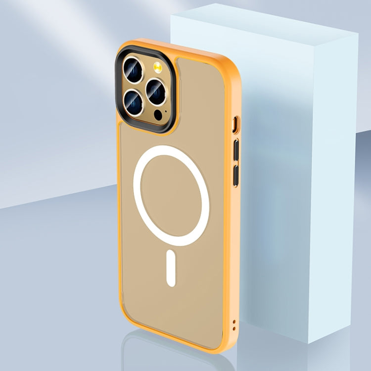 Skin Feel TPU + Frosted PC MagSafe Phone Case, For iPhone 11 Pro Max, For iPhone 11 Pro, For iPhone 11