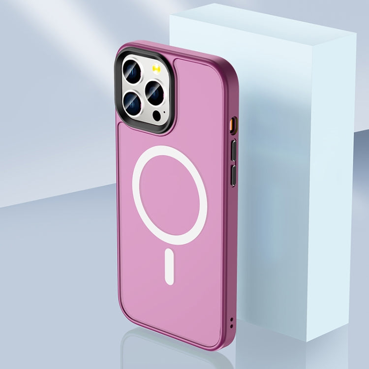 Skin Feel TPU + Frosted PC MagSafe Phone Case, For iPhone 11 Pro Max, For iPhone 11 Pro, For iPhone 11