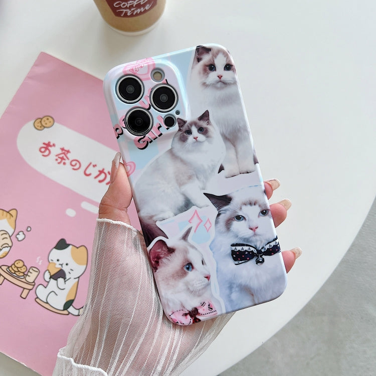 PC Phone Case, For iPhone 14 Plus, For iPhone 13 Pro Max, For iPhone 13 Pro