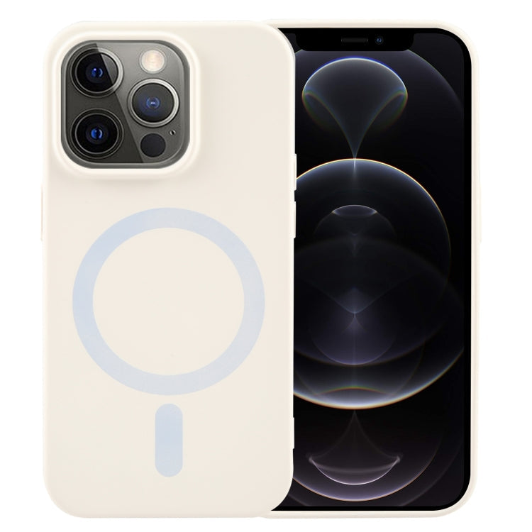MagSafe Liquid Silicone Phone Case, For iPhone 12 Pro Max, For iPhone 12 Pro, For iPhone 11 Pro Max, For iPhone 11, For iPhone 11 Pro