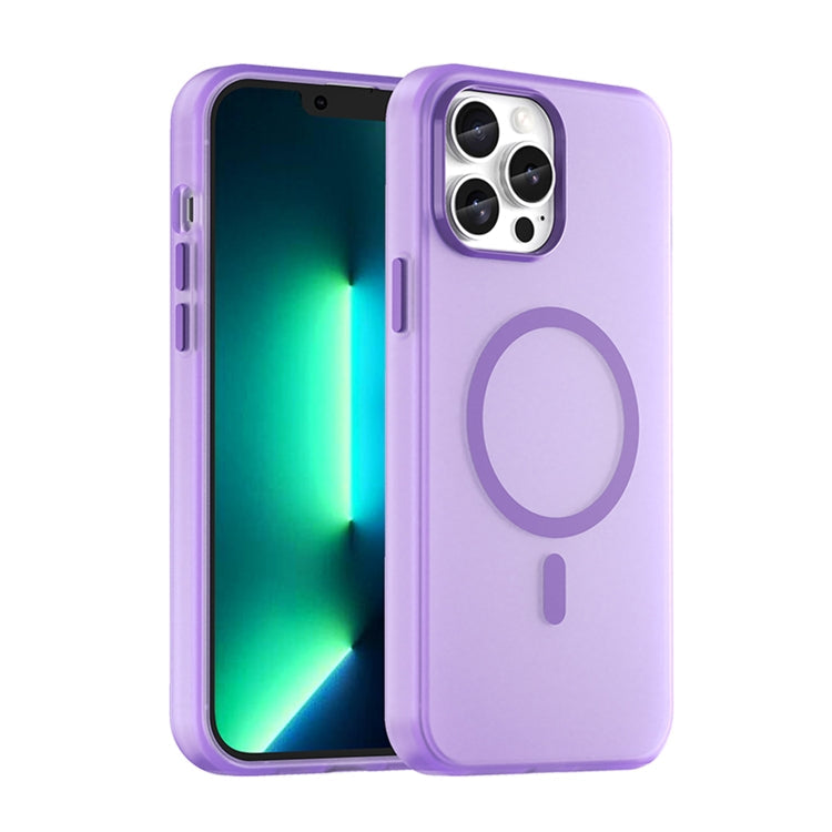 MagSafe Frosted Translucent TPU + PC Full Coverage Phone Case, For iPhone 11 Pro