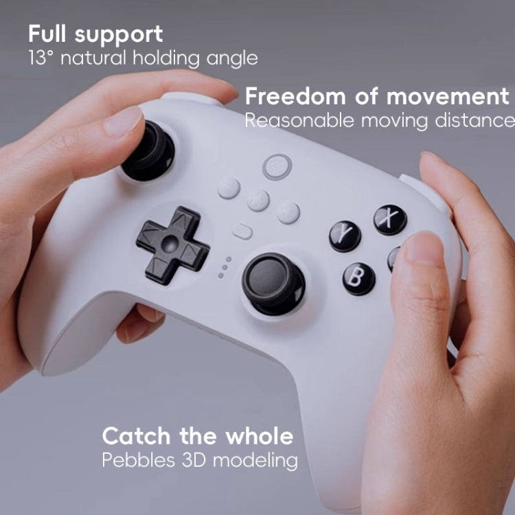 8BitDo Orion NS Version True Wireless Bluetooth Gamepad with Charging Stand(Black)