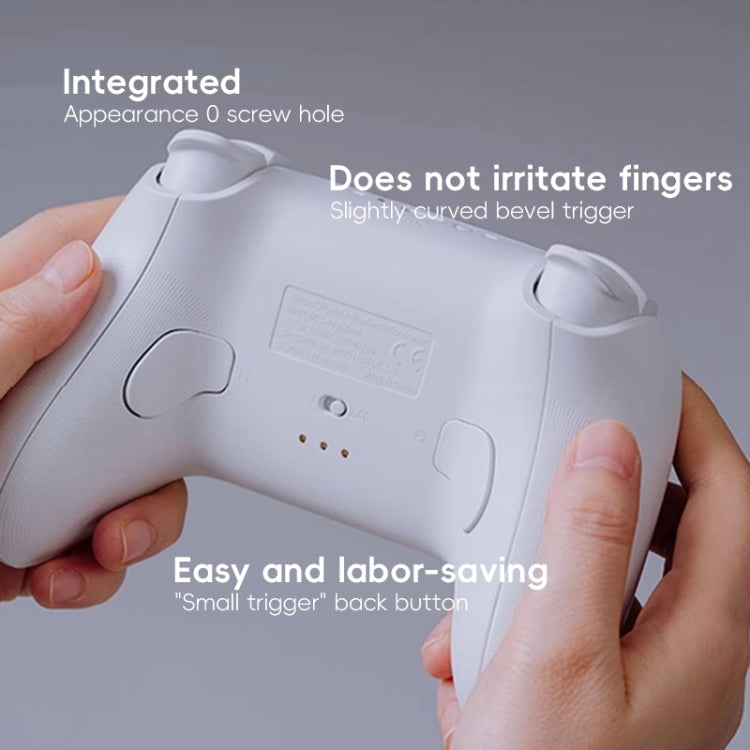 8BitDo Orion NS Version True Wireless Bluetooth Gamepad with Charging Stand(Black)