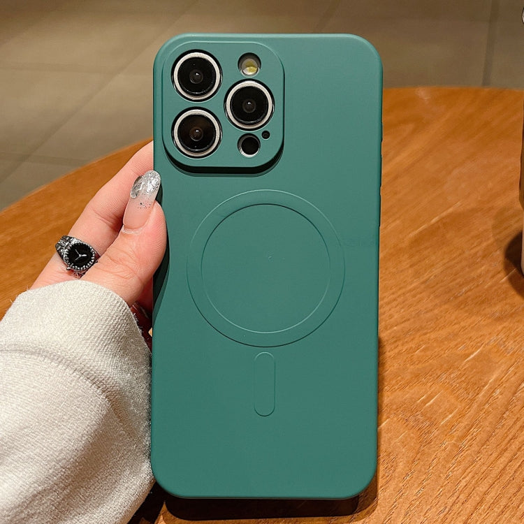 Solid Color Liquid Silicone MagSafe Magnetic Phone Case, For iPhone 12 Pro