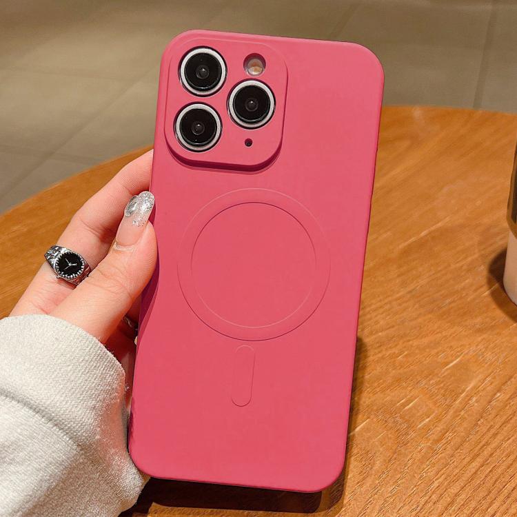 Solid Color Liquid Silicone MagSafe Magnetic Phone Case, For iPhone 11 Pro