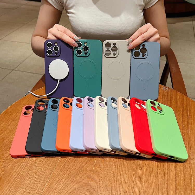 Solid Color Liquid Silicone MagSafe Magnetic Phone Case, For iPhone 17e / 16e