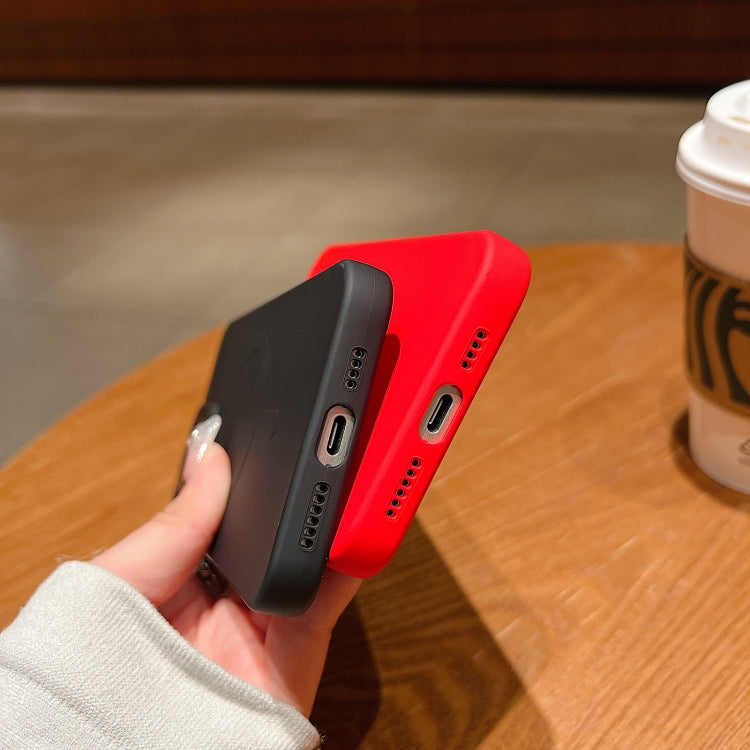 Solid Color Liquid Silicone MagSafe Magnetic Phone Case, For iPhone 12 Pro