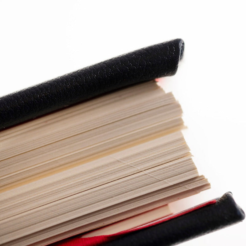 2026 Desk Diary - Day-a-Page Planner - Blue