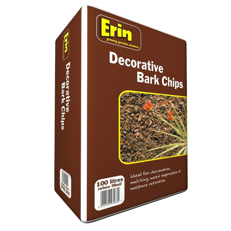 ErinDecorativeChips.jpg