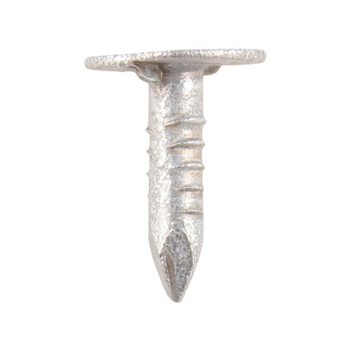 Extra Large Head Clout Nails – Galvanised – 1kg Bags