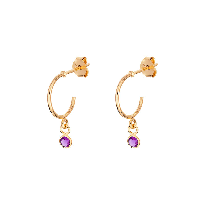 February Birthstone Hoop Earrings
