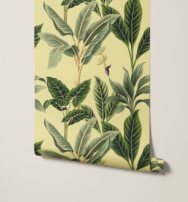 Flora