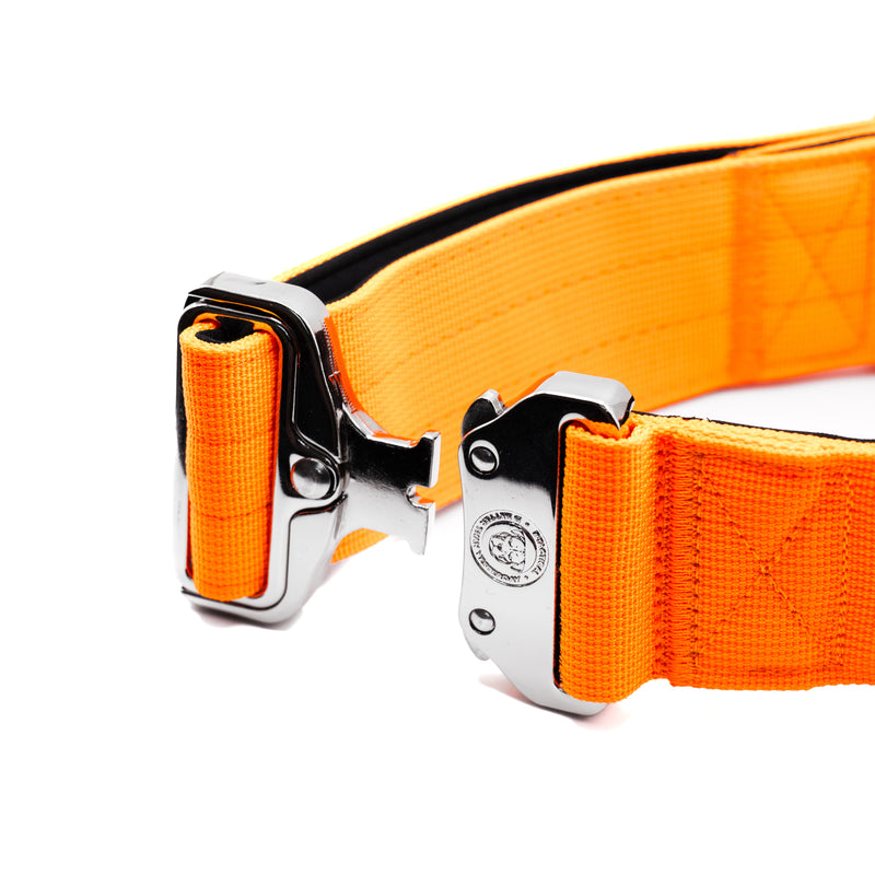 5cm Nylon BTactical™ Collar | Citrus Orange