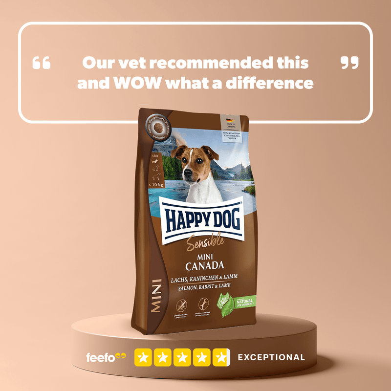 Mini Canada - Sensitive Dog