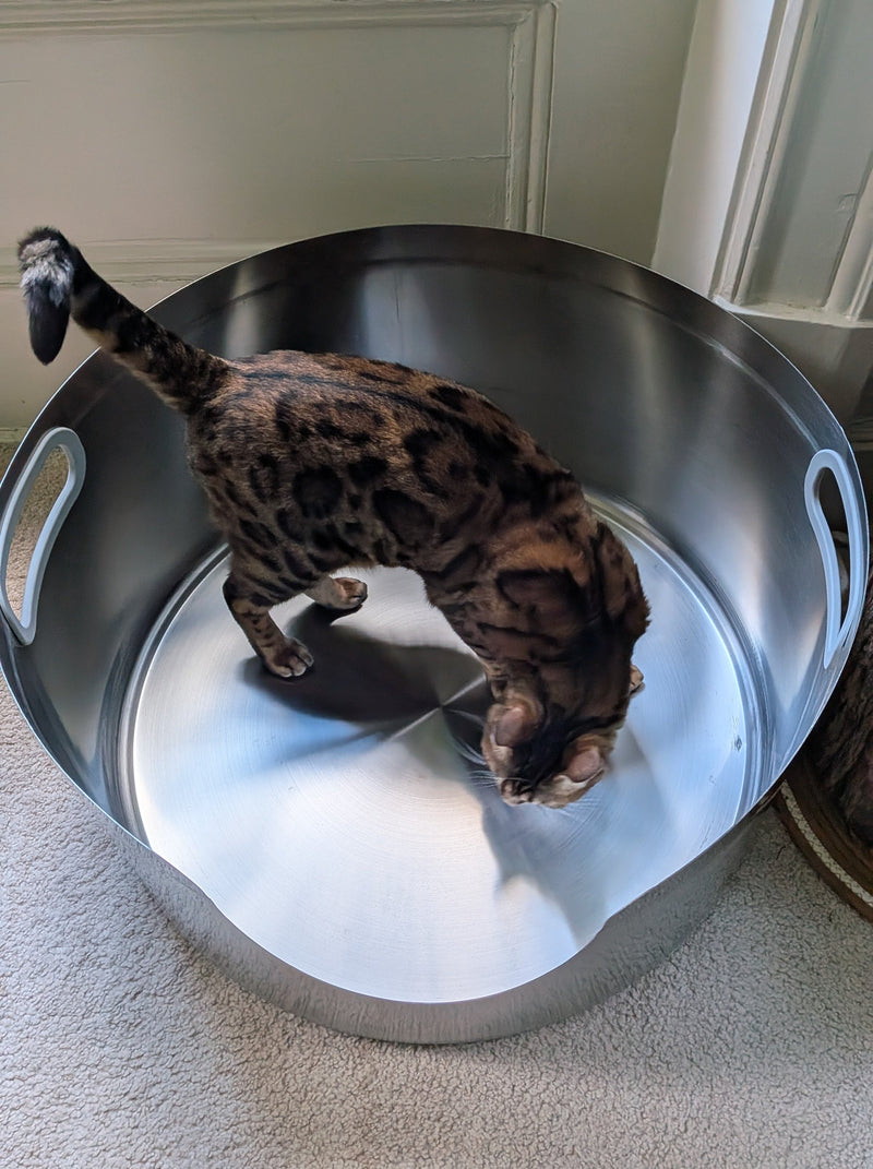 Fussy Cat - The XXL 60cm Litter Box. 85 Litre for Maine Coon, Large Breed & Multi-Cat Households
