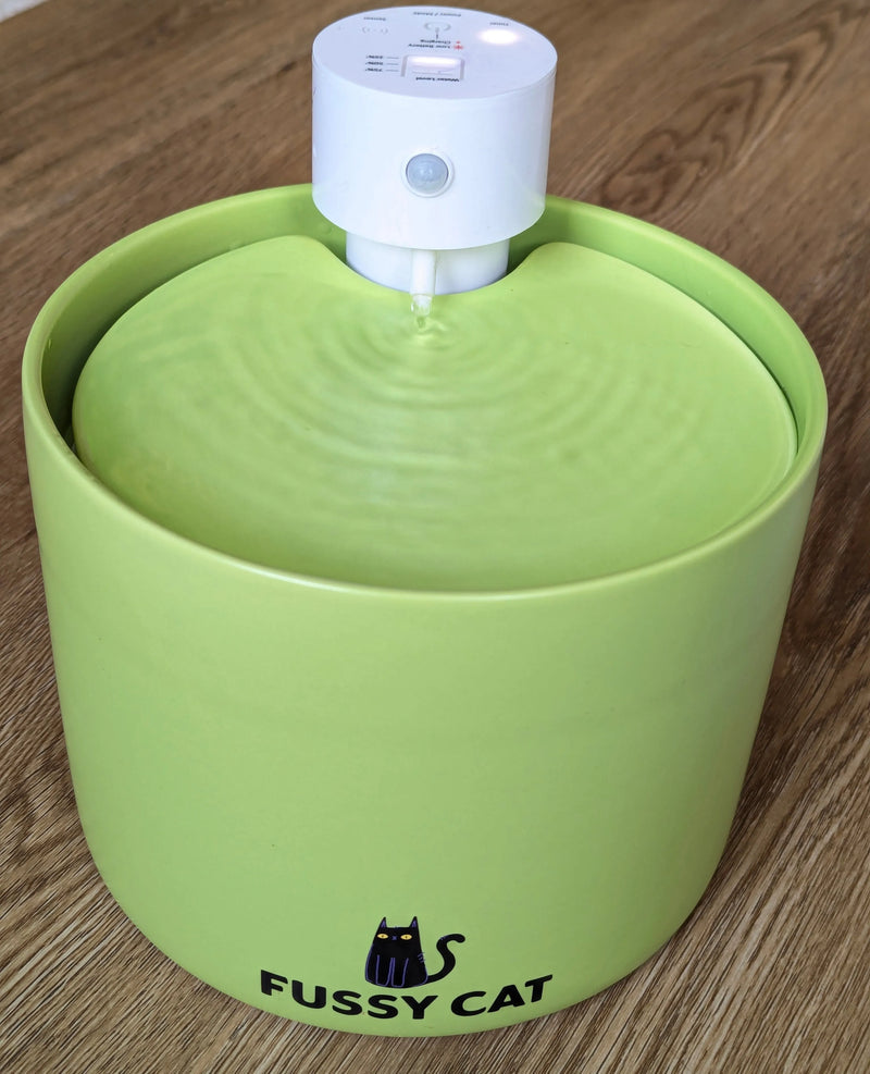 Fussy Cat - The Water Fountain