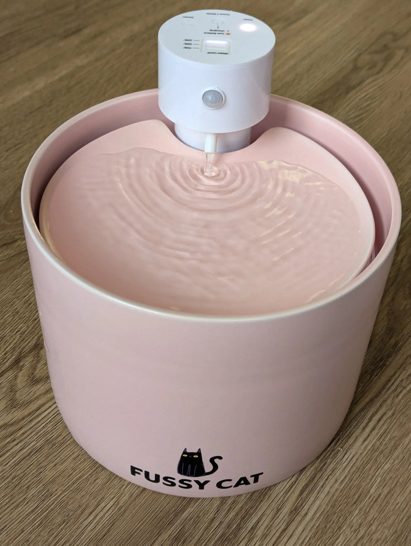 Fussy Cat - The Water Fountain
