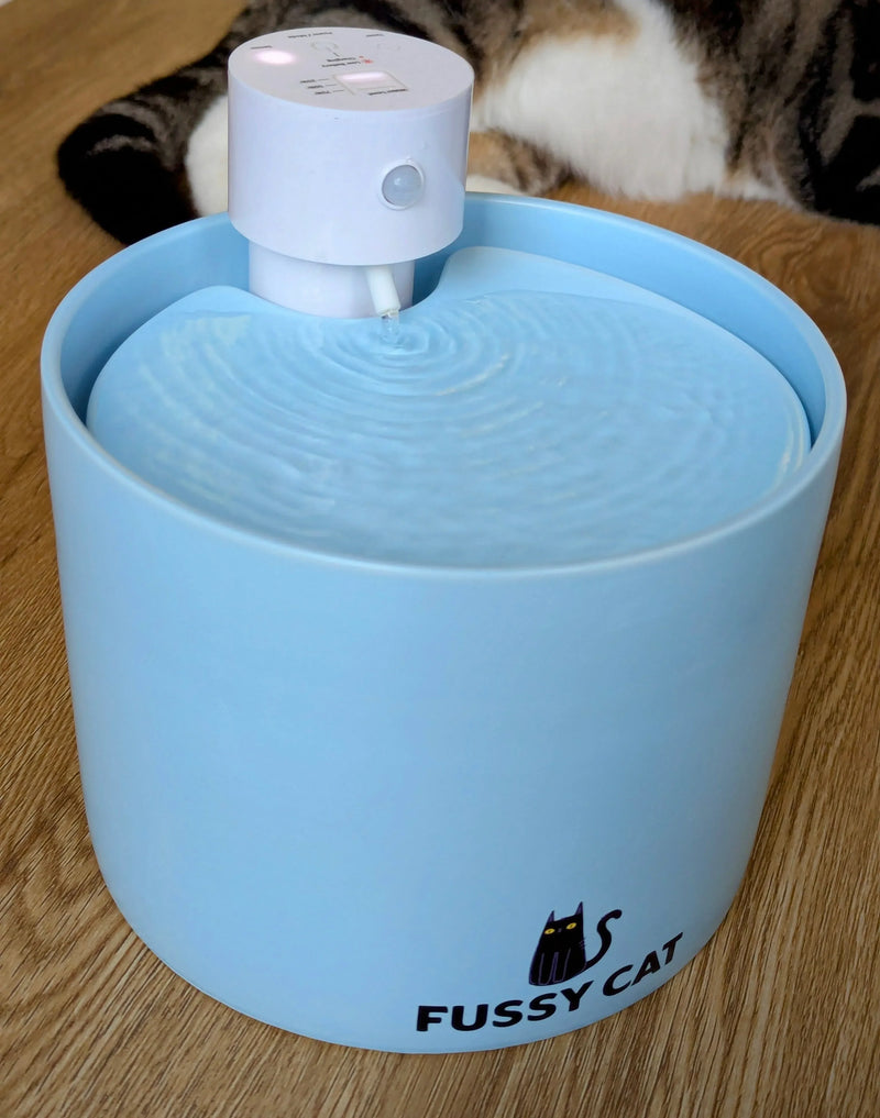 Fussy Cat - The Water Fountain