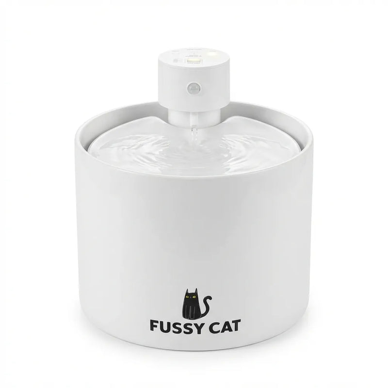 Fussy Cat - The Water Fountain