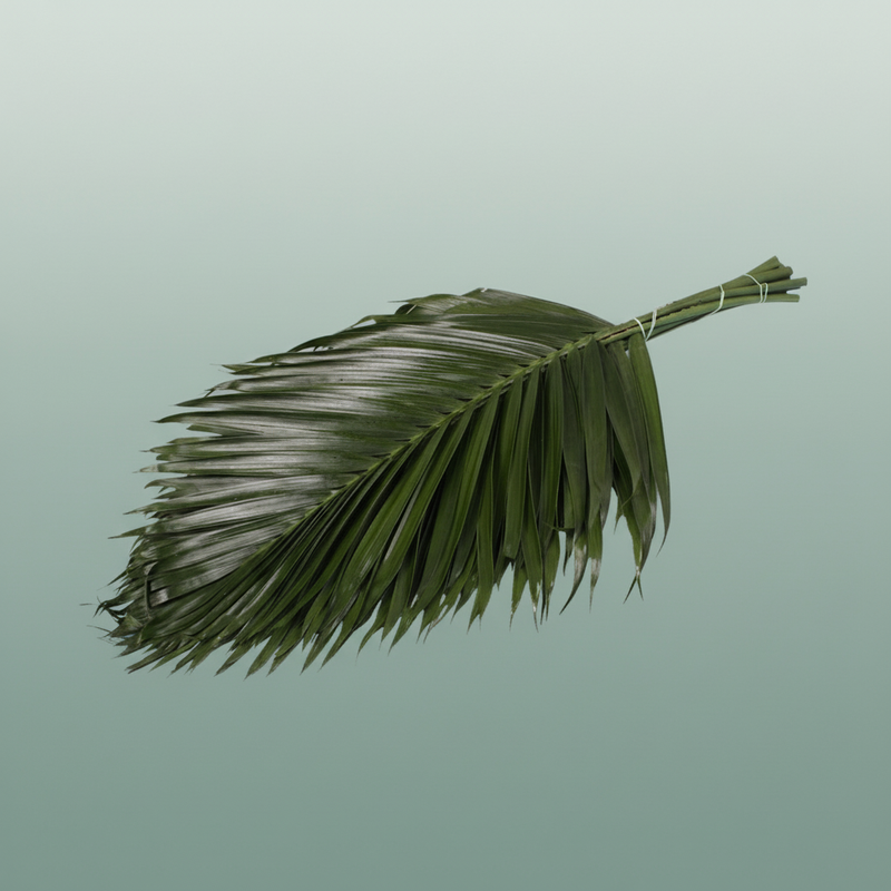 Chico Palm Tee Pee