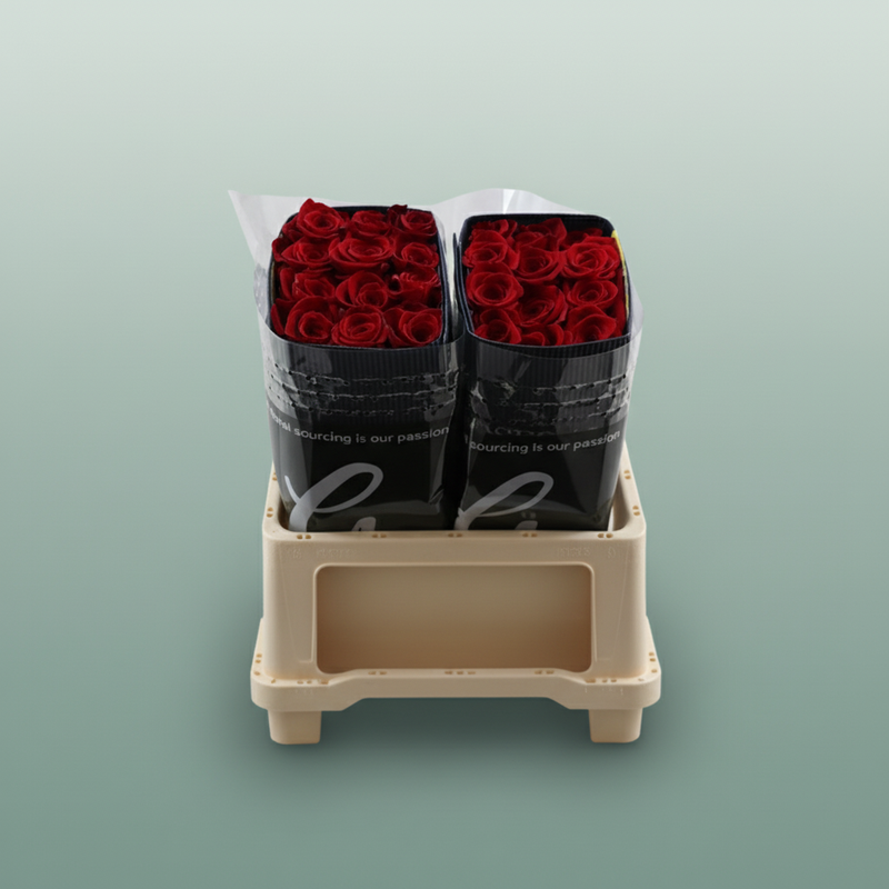 Rose - Rosa - Freedom