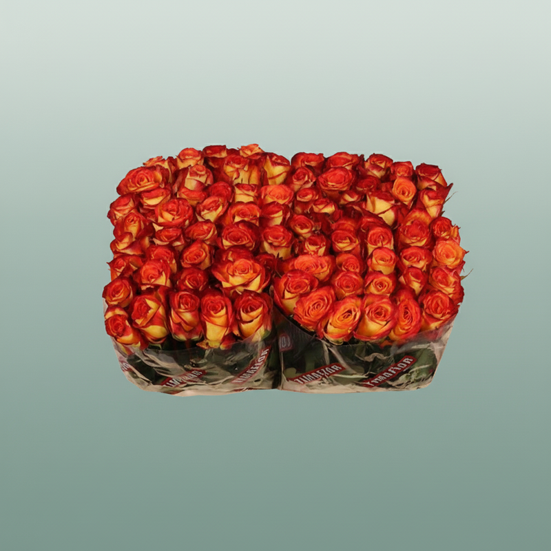 Rose Firefox