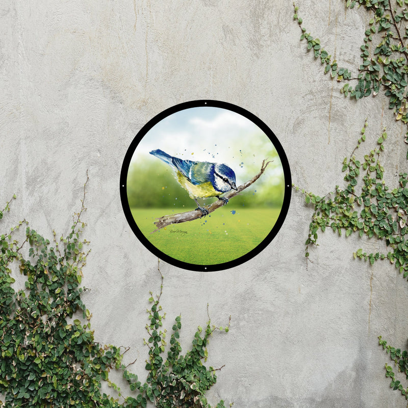 Blue Tit Garden Mirror
