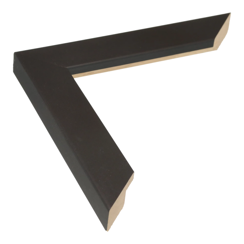 Grace Black Picture Frame, 10.5x24.3"