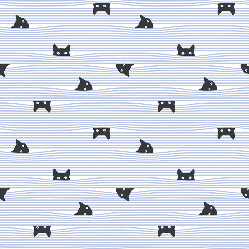 Gato