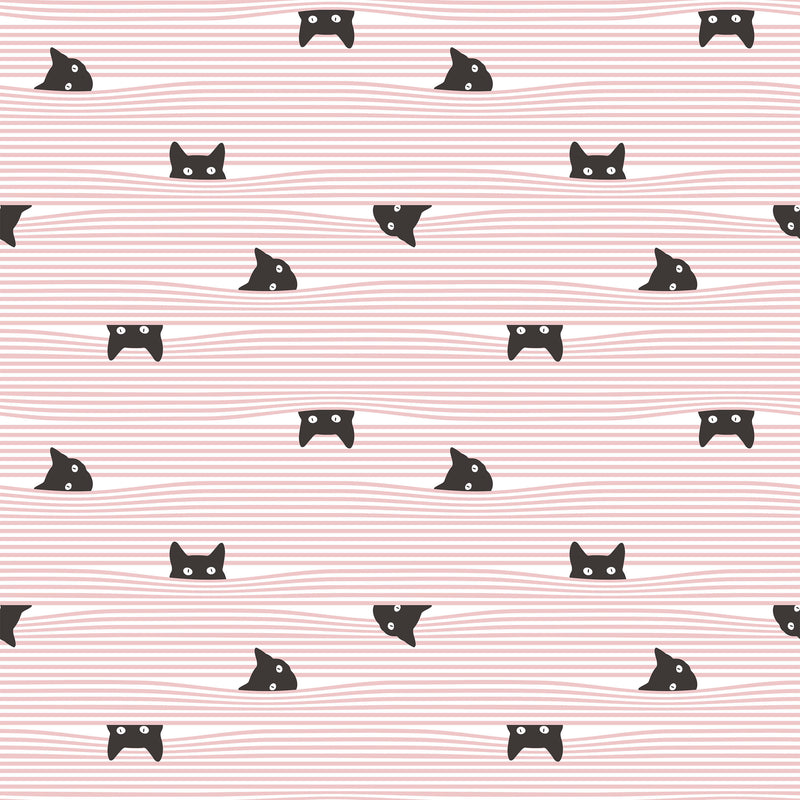 Gato