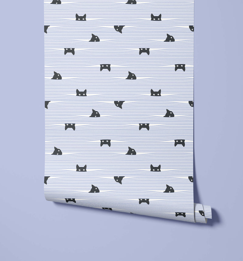 Gato