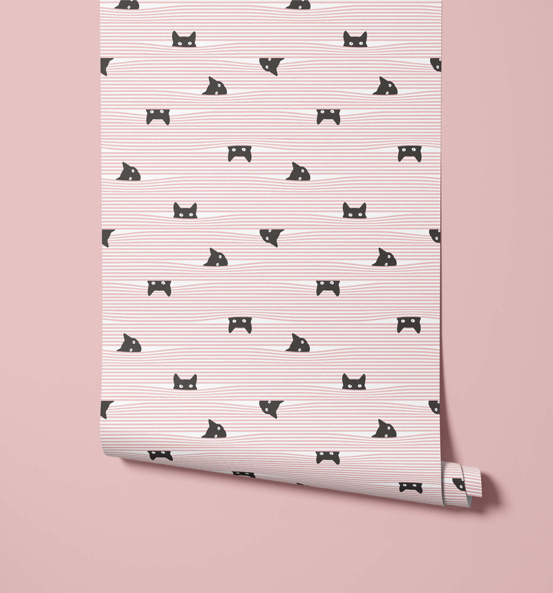 Gato