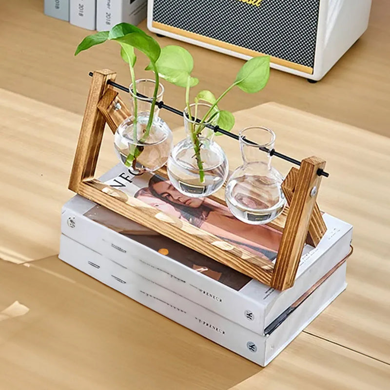 Glass Plant Terrarium Vase Set Wooden Base Hydroponic Bonsai Desktop Decor Flower Pot