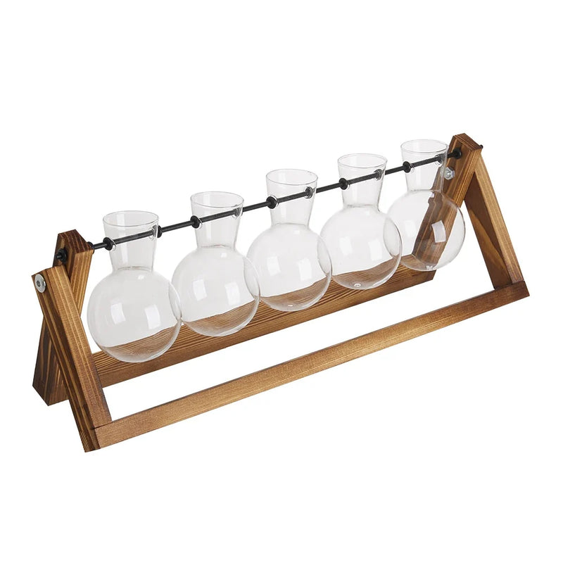 Glass Plant Terrarium Vase Set Wooden Base Hydroponic Bonsai Desktop Decor Flower Pot