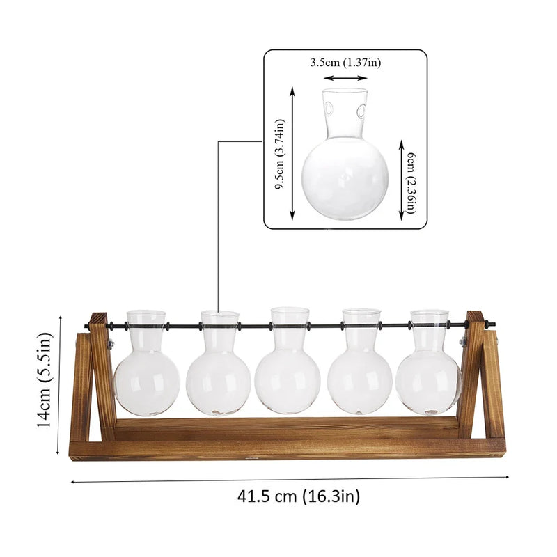 Glass Plant Terrarium Vase Set Wooden Base Hydroponic Bonsai Desktop Decor Flower Pot