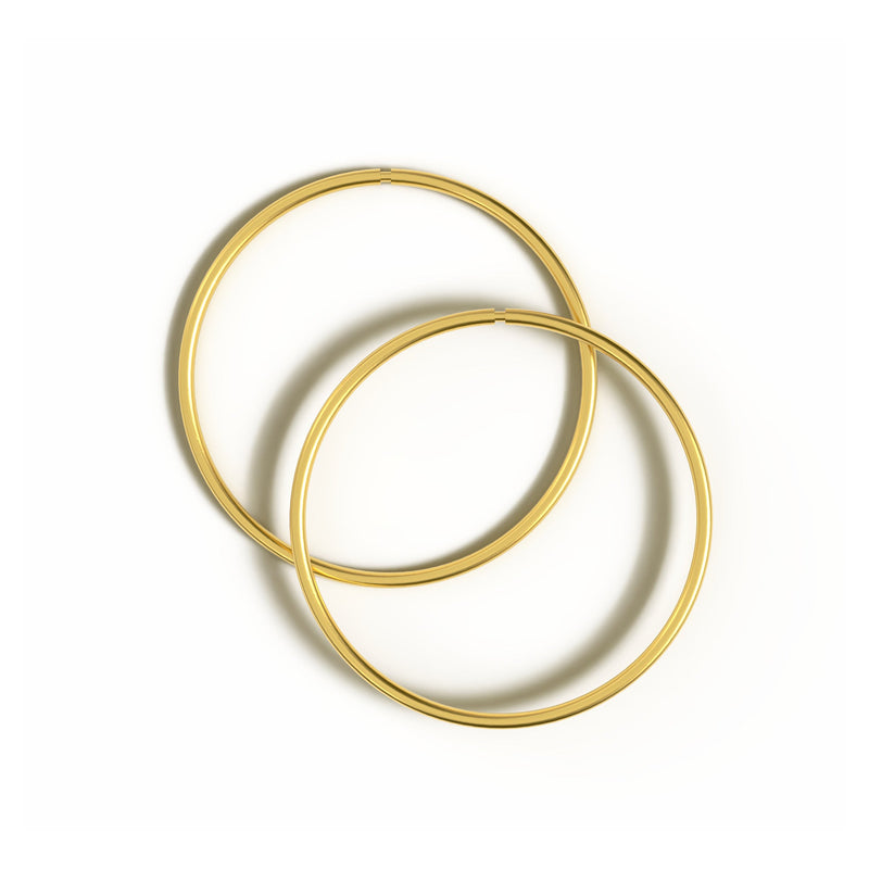 Bella Hinged Hoop Earrings