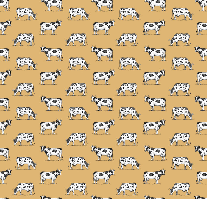 Graze