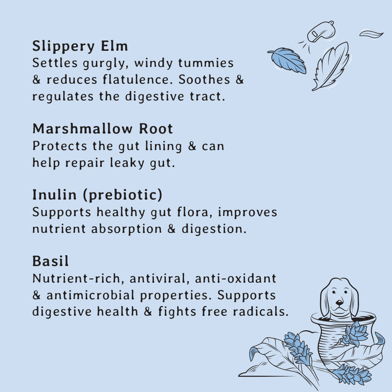 Gut Support Dog Treats