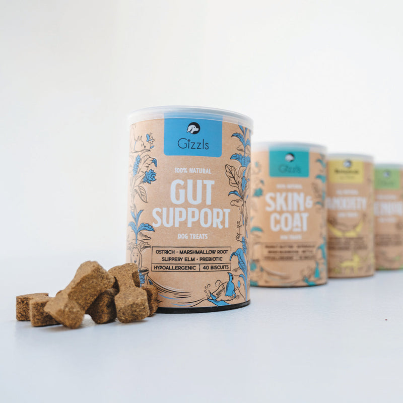 Gut Support Dog Treats