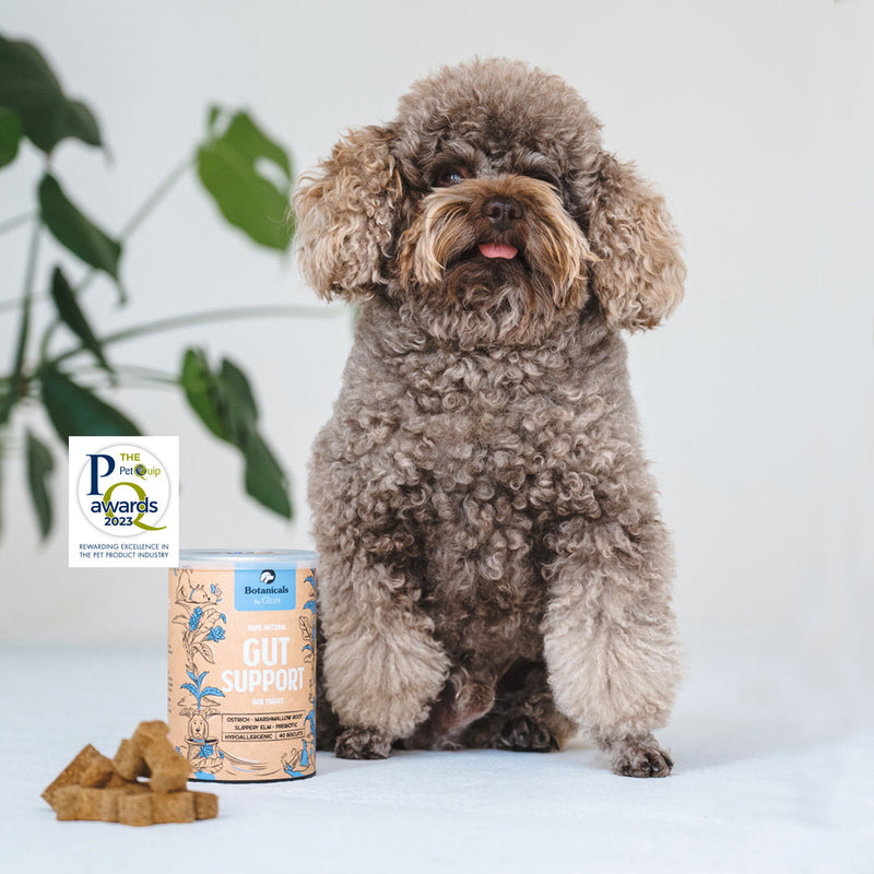 Gut Support Dog Treats