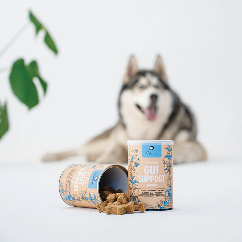 Gut Support Dog Treats