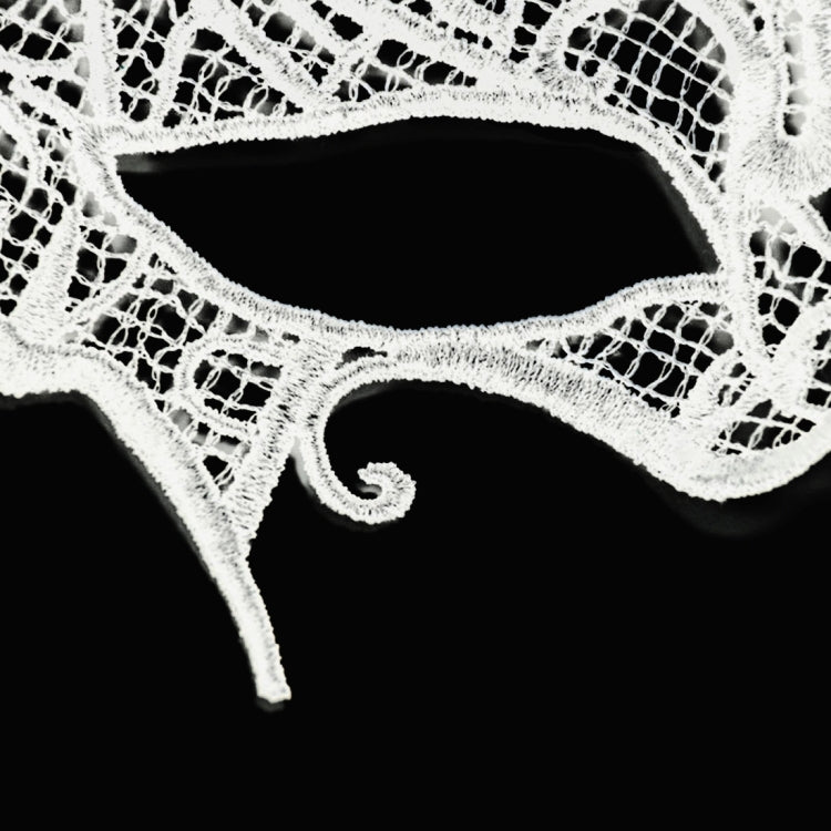 Halloween Masquerade Party Dance  Sexy Lady Lace Bat Mask, Bat