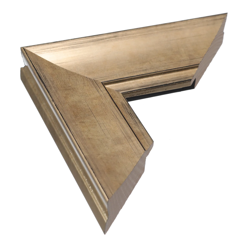 Hermitage Champagne Picture Frame, 23x44cm