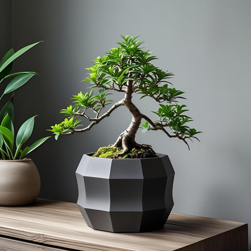 Minimalist Decagonal Flowerpot | Modern Geometric Planter