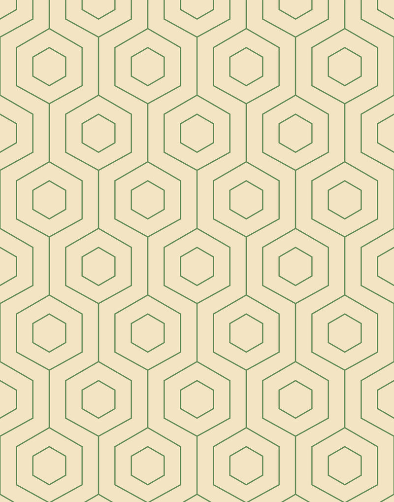Hive