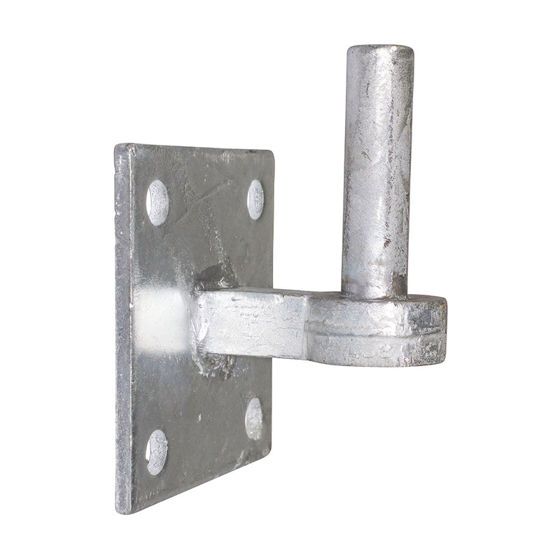 Hook on Square Plate – Hot Dipped Galvanised - 19mm
